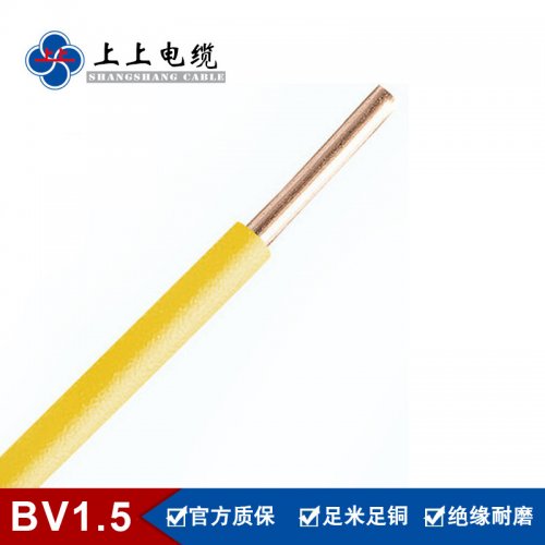 聚氯乙烯绝缘铜芯线单股电线